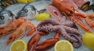 نکات مهم خرید ماهی، میگو و خوراک دریایی تازه