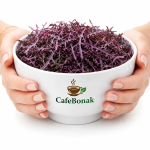 خردل ژاپنی تازه