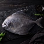 ماهی حلوا سیاه تازه جنوب – صید روز