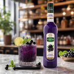سیروپ انگور سیاه (بلک کارنت) تسیر ۷۰۰ میلی‌لیتر – Teisseire Blackcurrant Syrup 700ml