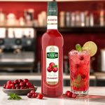 سیروپ زغال‌اخته (کرنبری) تسیر ۷۰۰ میلی‌لیتر – Teisseire Cranberry Syrup 700ml